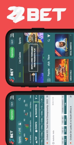 fonction de version mobile 22bet